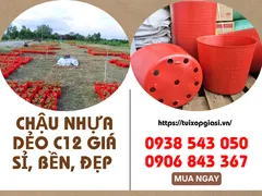 CHẬU NHỰA DẺO C12 GIÁ SỈ, BỀN, ĐẸP 