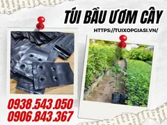 Chỗ Bán Túi Bầu Ươm Cây Giá Sỉ