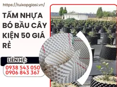 CHUYÊN SỈ TẤM NHỰA BÓ BẦU CÂY KIỆN 50M GIÁ RẺ