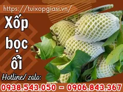 Chuyên sỉ xốp bao ổi giá rẻ TPHCM