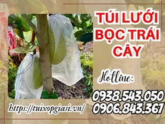 Cung cấp túi lưới bọc trái cây giá rẻ