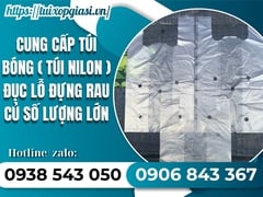 Cung cấp túi bóng ( túi nilon ) đục lỗ đựng rau củ số lượng lớn