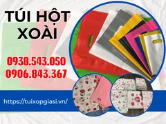 Cung cấp túi hột xoài chất lượng giá tốt