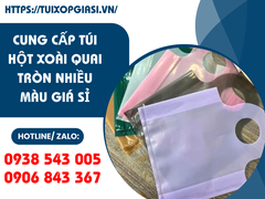 Cung cấp túi hột xoài quai tròn nhiều màu giá sỉ