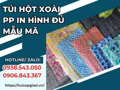 Cung cấp túi hột xoài pp in hình đủ mẫu mã giá tốt