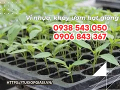 Địa chỉ bán vỉ nhựa, khay ươm hạt giống 32 lỗ, 100 lỗ giá rẻ