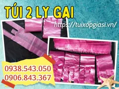 Địa chỉ bỏ sỉ túi 2 ly gai hàng đẹp giá rẻ