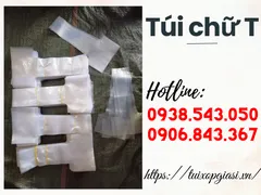 Địa chỉ bỏ sỉ túi chữ t giá hấp dẫn tại tphcm