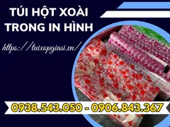 Giá bán túi hột xoài trong in hình chất lượng