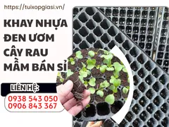 Khay nhựa đen ươm cây rau mầm bán sỉ