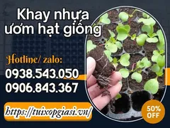 Khay nhựa ươm hạt giống giá rẻ chất lượng