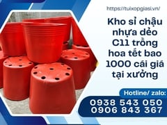 Kho sỉ chậu nhựa dẻo C11 trồng hoa tết bao 1000 cái giá tại xưởng