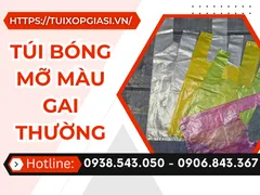 Kho sỉ TÚI BÓNG MỠ MÀU GAI THƯỜNG giá bán buôn