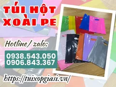 Kho sỉ túi hột xoài pe bóng đẹp giá rẻ