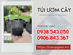 Mua Túi Ươm Cây Giá Sỉ Ở Đâu Hcm?