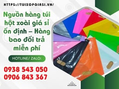 Nguồn hàng túi hột xoài giá sỉ ổn định – Hàng bao đổi trả miễn phí