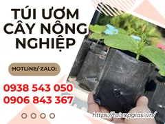 Nguồn sỉ túi ươm cây nông nghiệp giá sỉ tốt