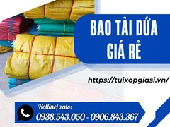Nhà cung cấp BAO TẢI DỨA giá rẻ chất lượng tại hcm