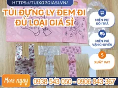 NHÀ CUNG CẤP TÚI ĐỰNG LY ĐEM ĐI ĐỦ LOẠI GIÁ SỈ HCM