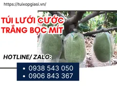 Nhà cung cấp túi lưới cước trắng bọc mít giá rẻ