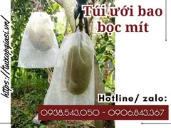Nhà phân phối túi lưới bao bọc mít giá sỉ HCM
