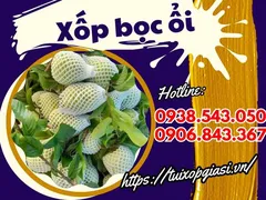 Nhà phân phối xốp bọc ổi giá rẻ HCM