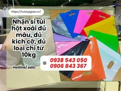 Nhận sỉ túi hột xoài đủ màu, đủ kích cỡ, đủ loại chỉ từ 10kg