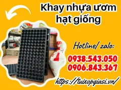Nơi bán khay nhựa ươm hạt giống giá rẻ uy tín