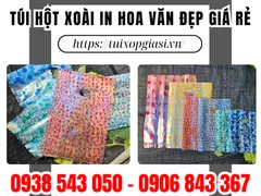 Nơi bán túi hột xoài in hoa văn đẹp giá rẻ cho cửa hàng