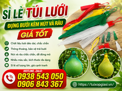 Sỉ lẻ túi lưới đựng bưởi kèm nút và râu giá tốt