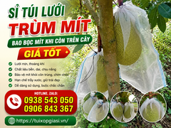 Sỉ túi lưới trùm mít, bao bọc mít khi còn trên cây giá tốt