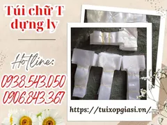 Túi chữ t đựng ly hàng sẵn kho giá rẻ nhất HCM