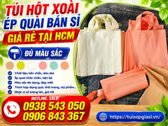 Túi hột xoài ép quai bán sỉ giá rẻ tại hcm đủ màu sắc