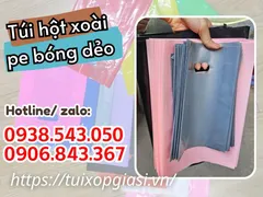TÚI HỘT XOÀI PE BÓNG DẺO đủ màu giá rẻ nhất hcm