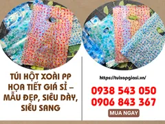 Túi hột xoài pp họa tiết giá sỉ – mẫu đẹp, siêu dày, siêu sang