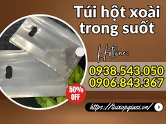 Túi hột xoài trong suốt giá rẻ đủ kích cỡ