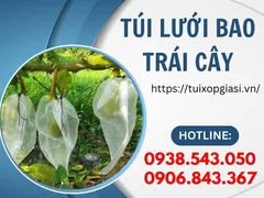 Túi lưới bao trái cây giá rẻ cho nhà vườn