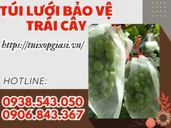 Túi lưới bảo vệ trái cây đủ loại giá rẻ chất lượng