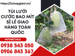 Túi lưới cước bao mít sỉ lẻ giao hàng toàn quốc
