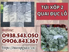 Túi xốp hai quai đục lỗ giá tốt nhất tại TPHCM