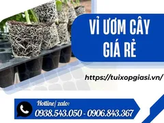 Vỉ ươm cây giá rẻ cho nhà vườn