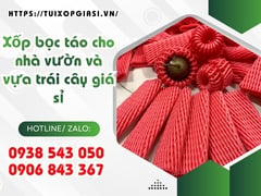 Xốp bọc táo cho nhà vườn và vựa trái cây giá sỉ