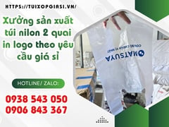 Xưởng sản xuất túi nilon 2 quai in logo theo yêu cầu giá sỉ