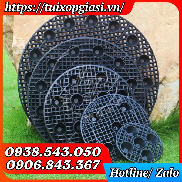 ĐẾ LÓT BẦU ƯƠM CÂY