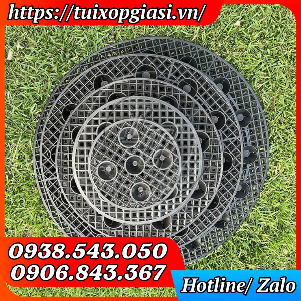 ĐẾ LÓT BẦU ƯƠM CÂY