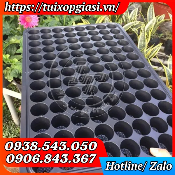 KHAY NHỰA ƯƠM HẠT GIỐNG