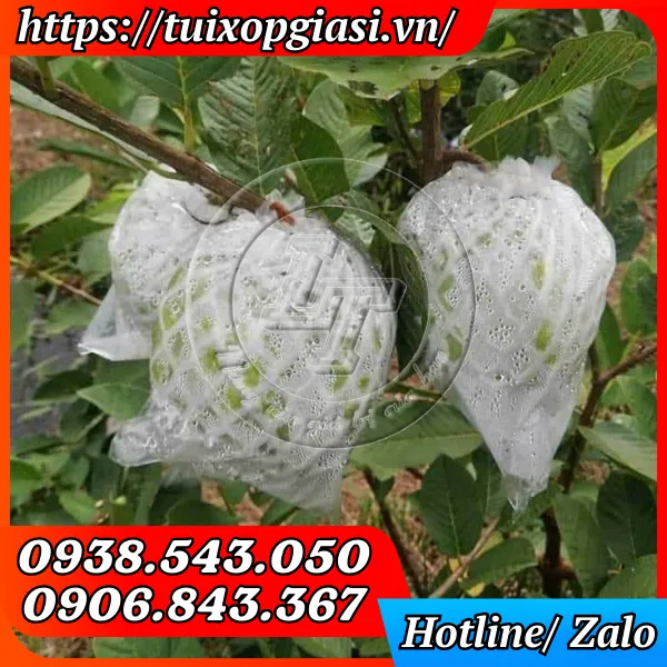 XỐP BỌC ỔI LỒNG SẴN