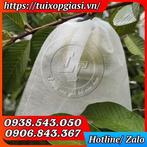 Túi bao ổi vải không dệt