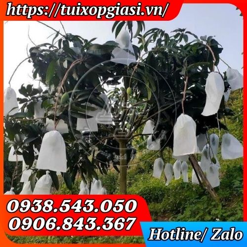 Túi bao xoài vải không dệt
