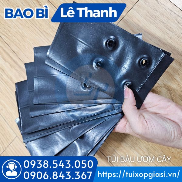 Túi bầu ươm cây giá sỉ